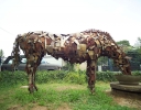 pferd1